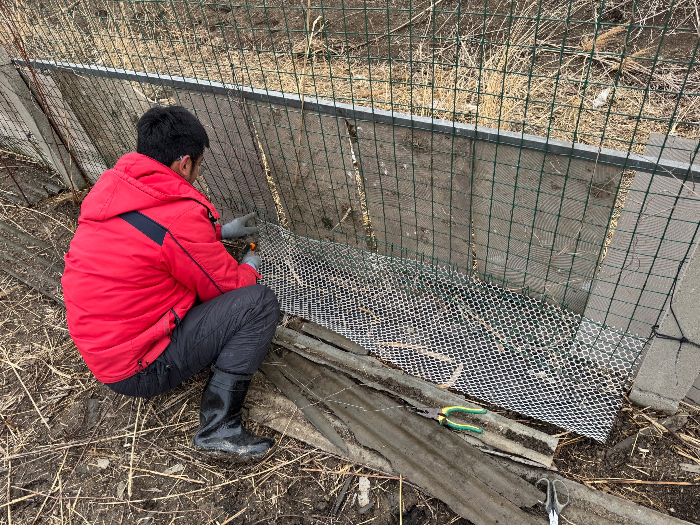 微信圖片_20260316142452_40_98_副本