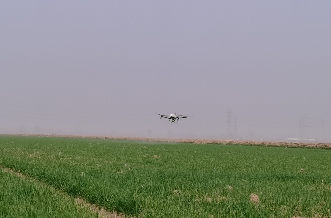 小麥無(wú)人機(jī)施肥_副本