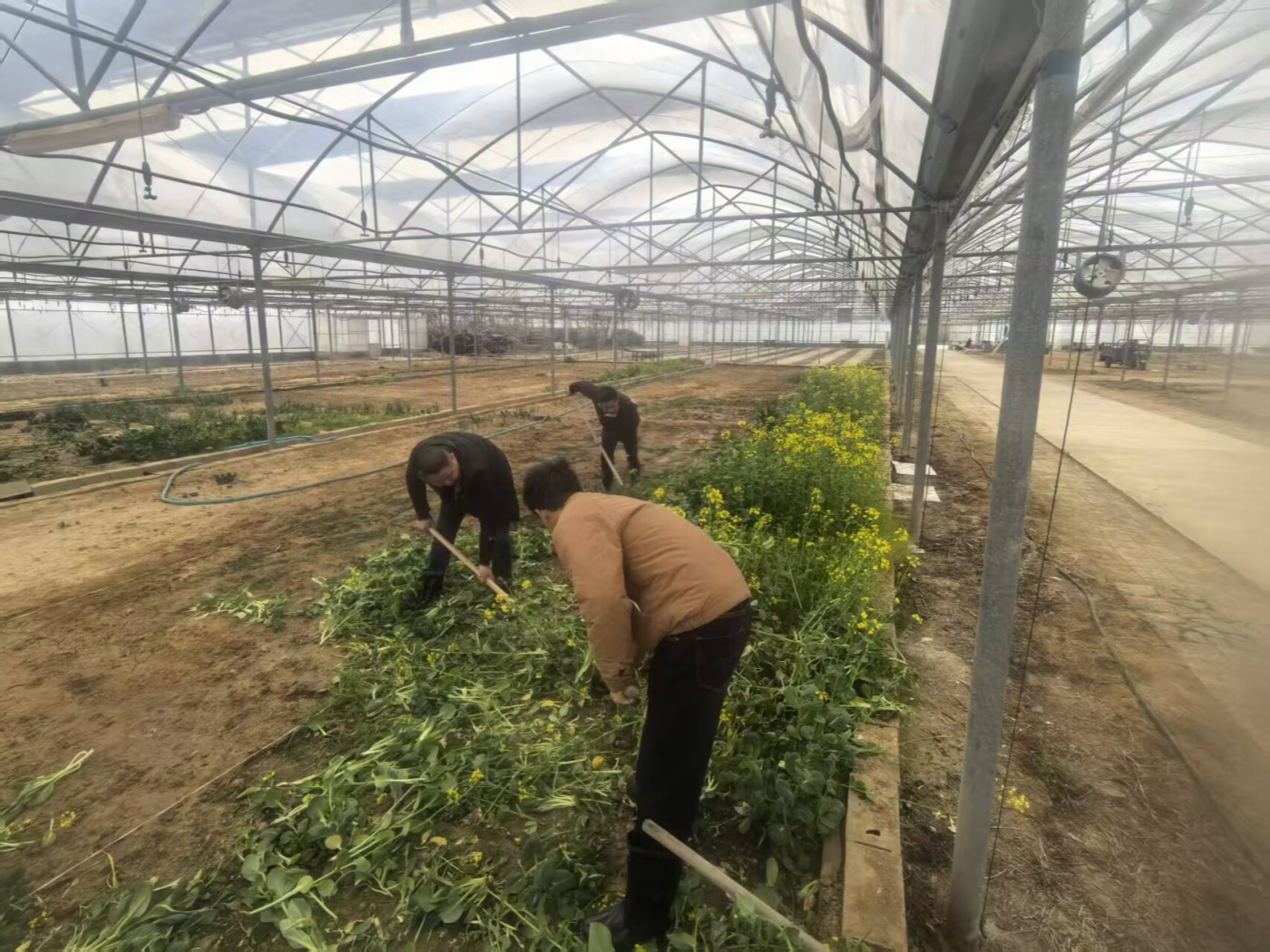 倉(cāng)儲(chǔ)中心除草_副本